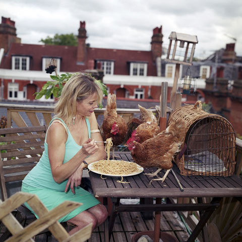 Rescue Chickens