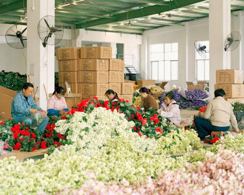 An Artificial Flower Factory in China Photographed by Taylor Glenn