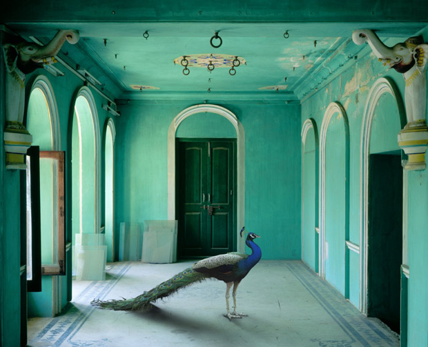 Karen Knorr