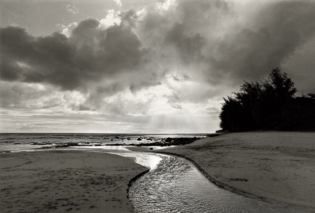 A Look At Life Inside A Hippie Tree House Village In Hawaii Nsfw