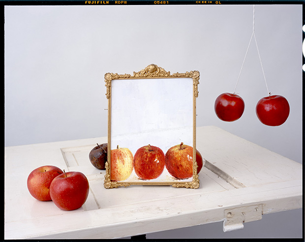 Curious Still Life Images Combine Oil Paintings and Photography ...