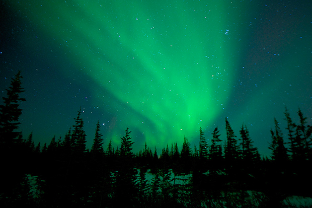 13 Magical Views of the Aurora Borealis Painting the Night Sky ...